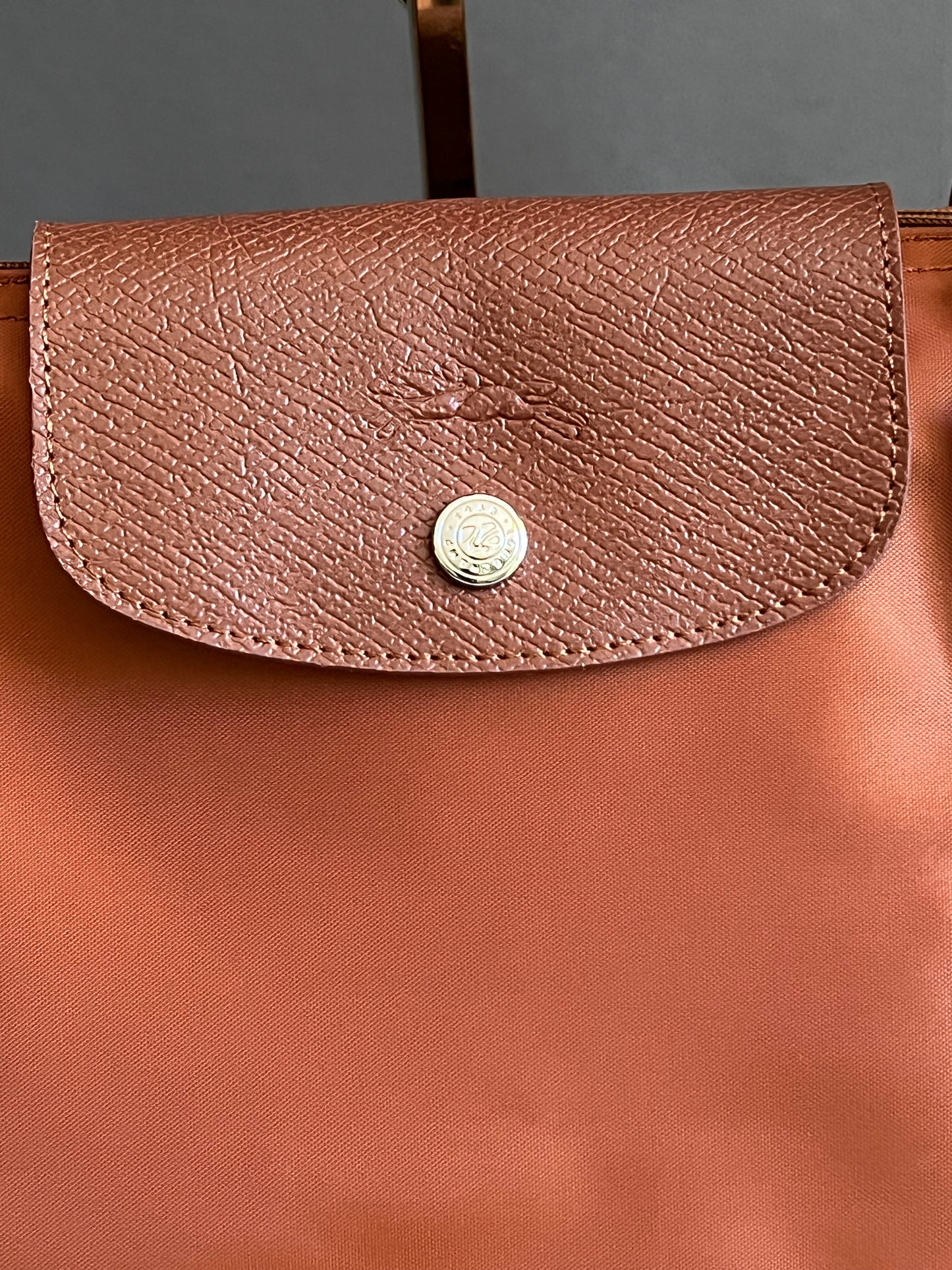Longchamp Le Pliage Original L Tote Bag