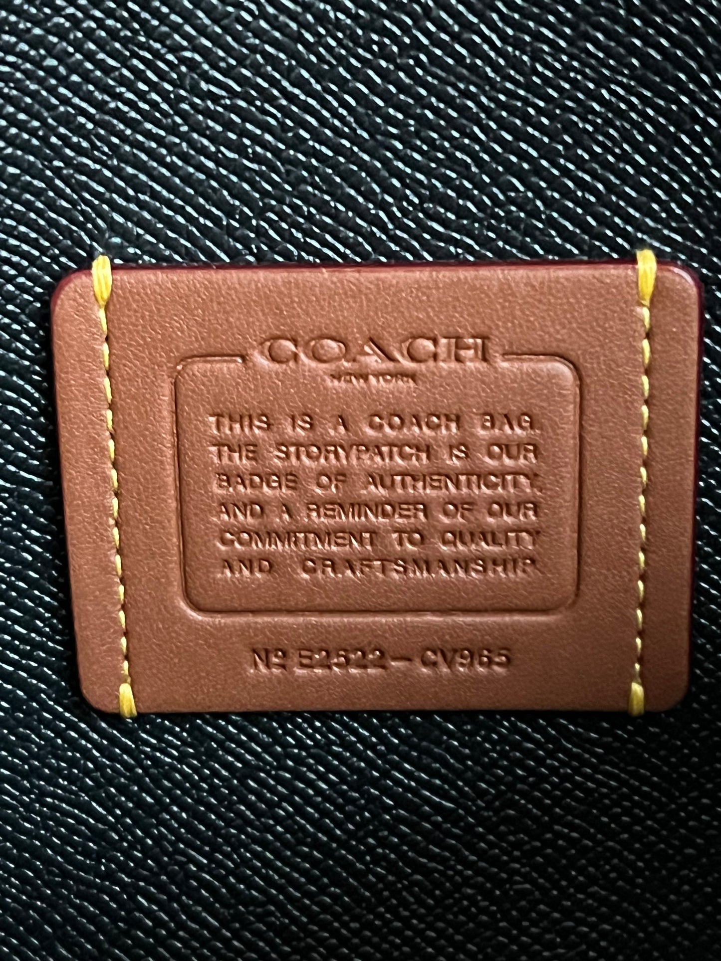 Coach Mollie Tote Bag 25 in Signature Canvas