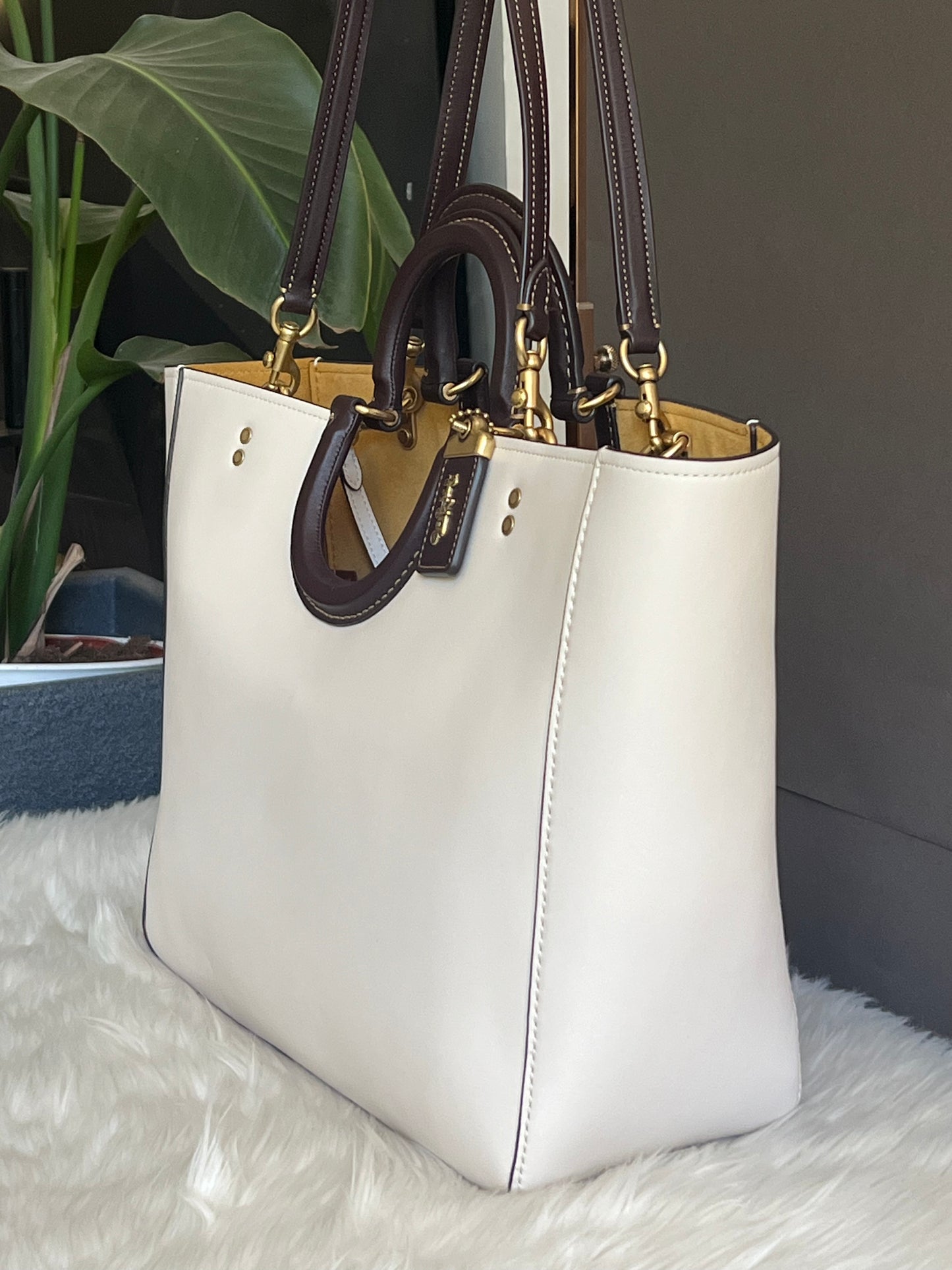 Coach Rae Tote in Colorblock koi