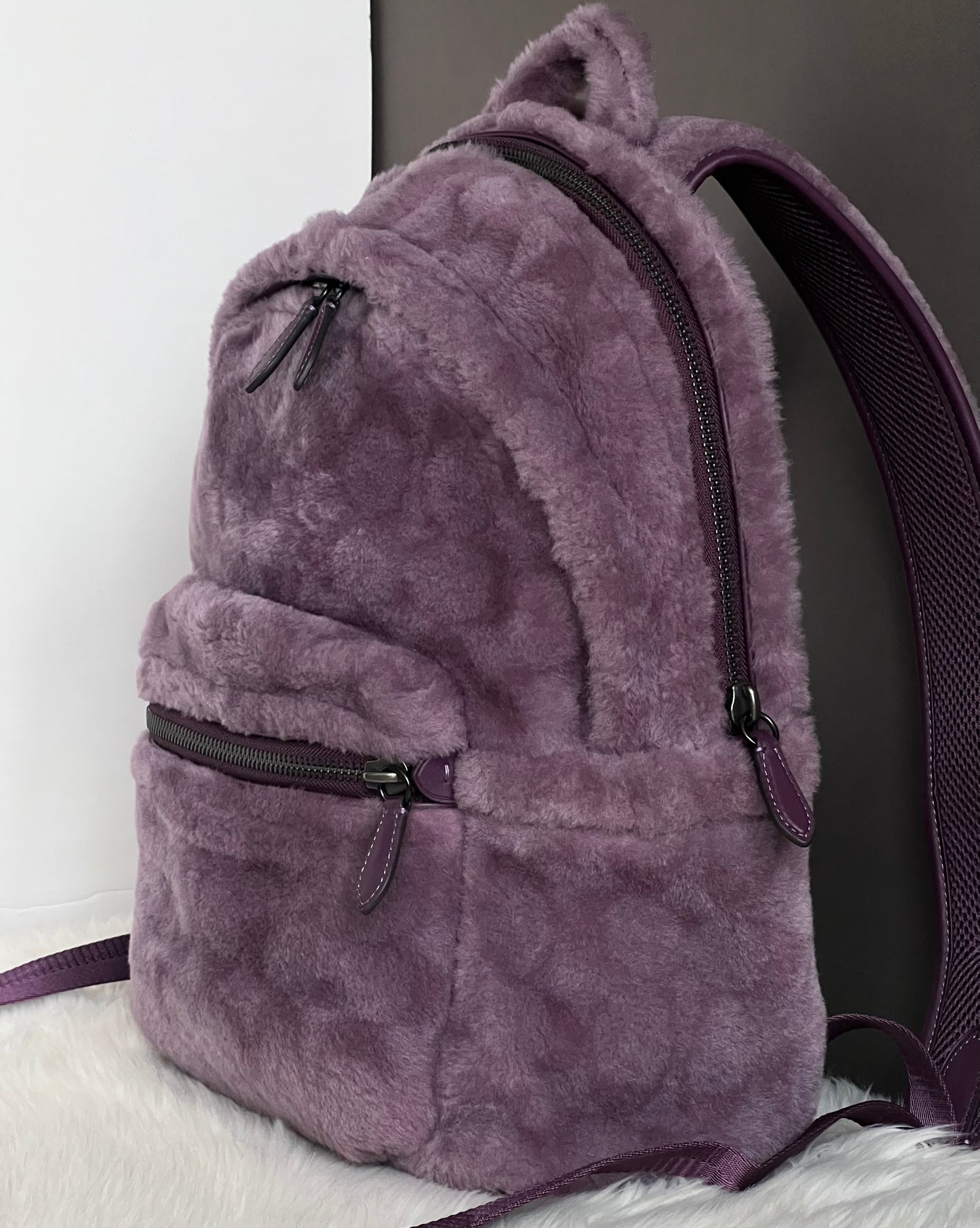 Coach Charter Backpack In Signature Shearling