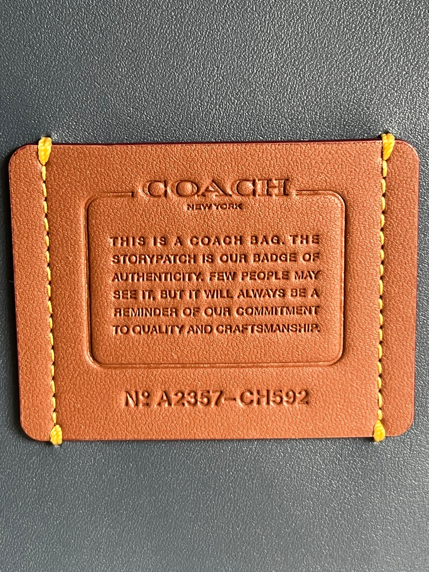 Coach Rae Tote in Colorblock koi