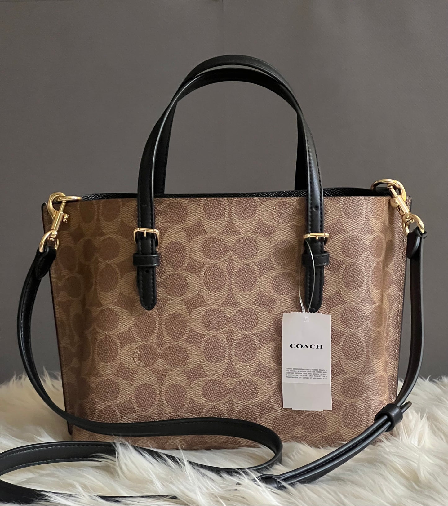 Coach Mollie Tote Bag 25 in Signature Canvas