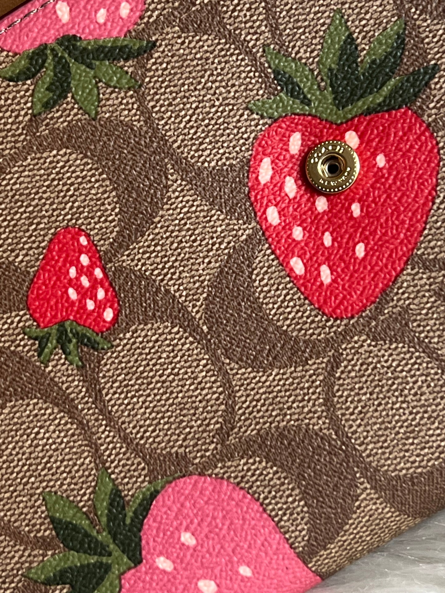 Coach Travel Envelope Wallet In Signature Canvas With Wild Strawberry Print