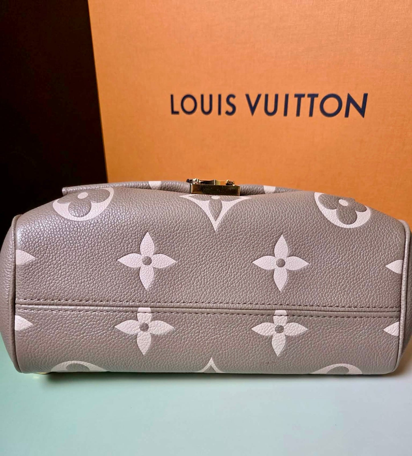 Louis Vuitton Favorite