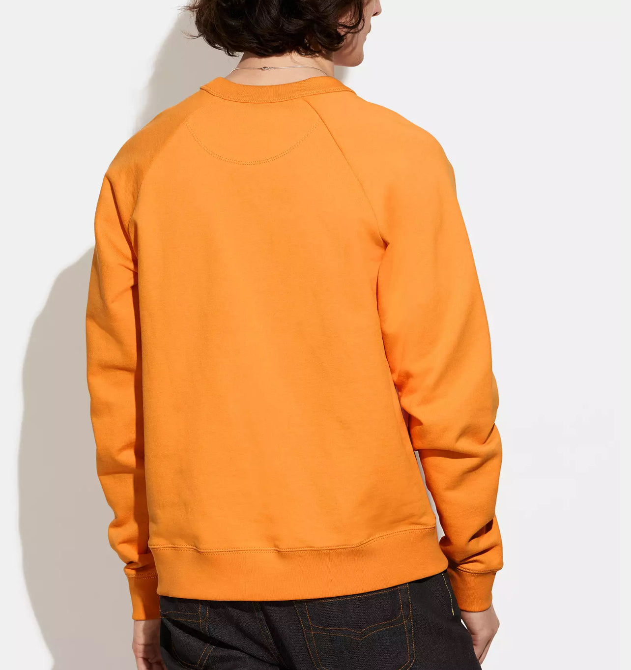 Coach Rexy School Crewneck in Organic Cotton