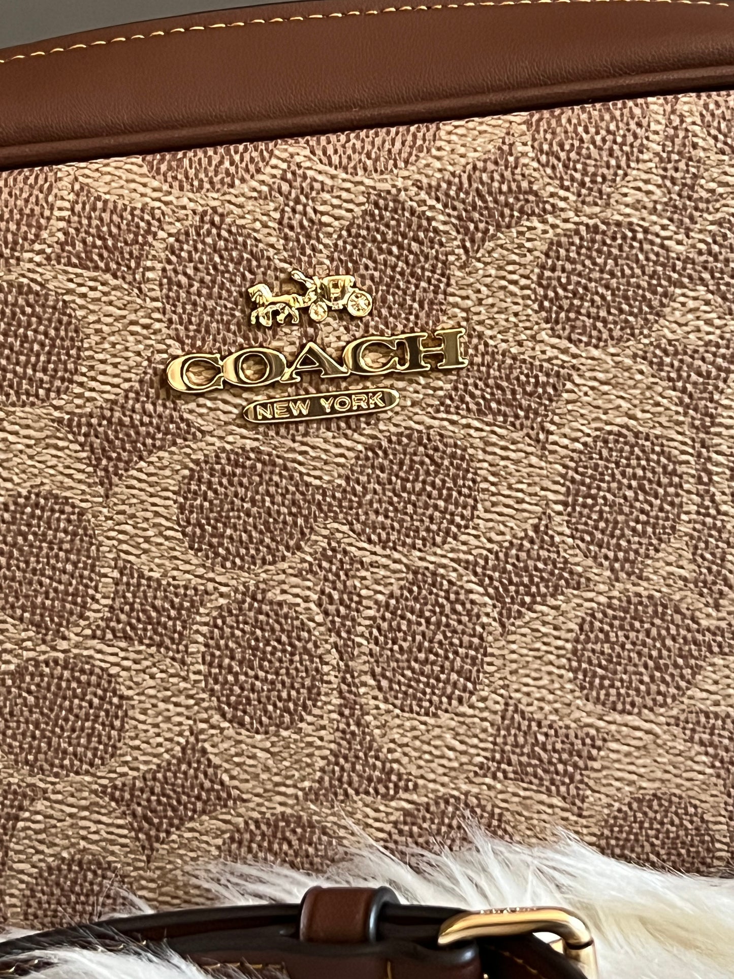 Coach Mini Jamie Camera Bag in Signature Canvas