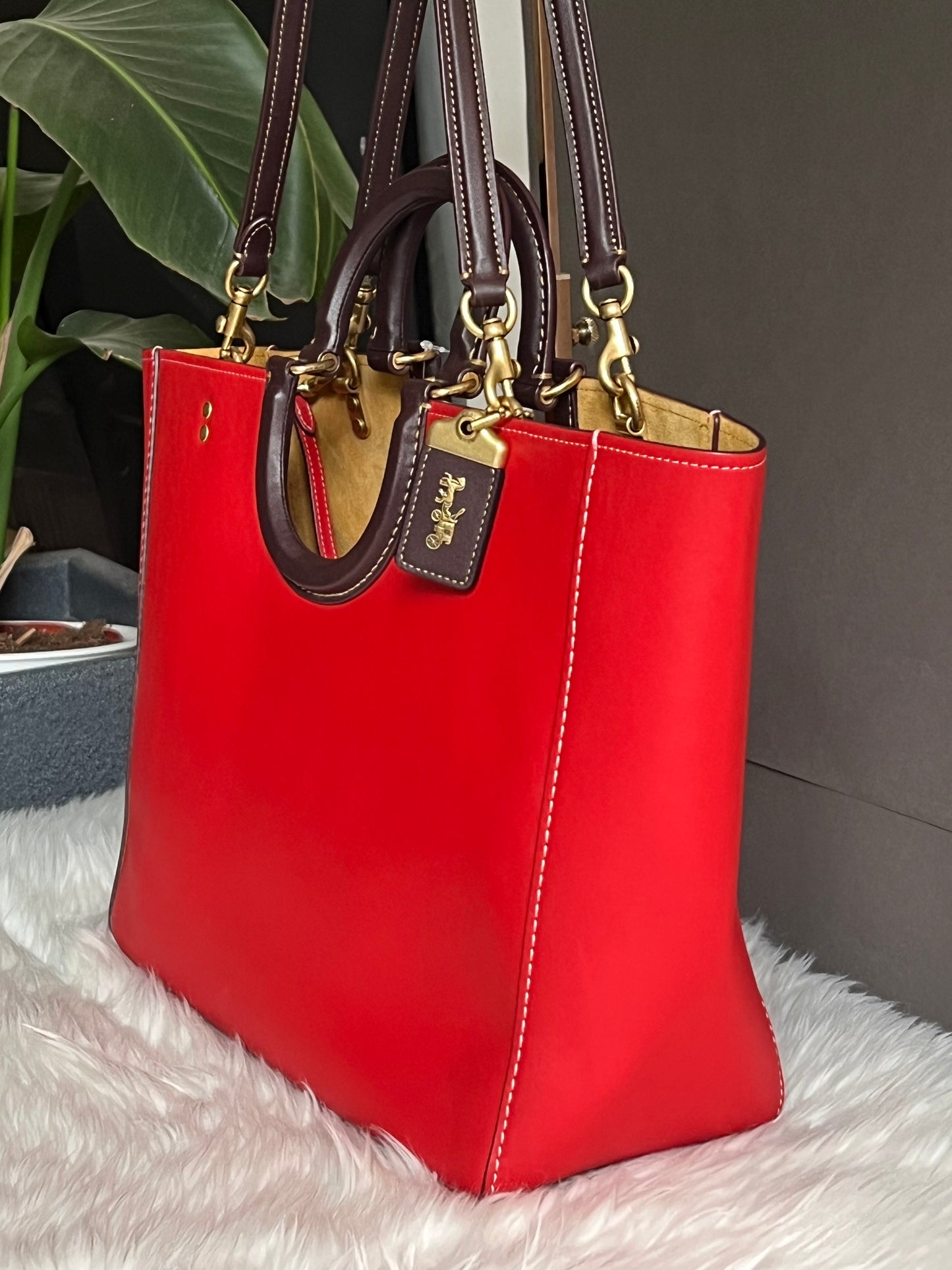 Coach Rae Tote in Colorblock koi