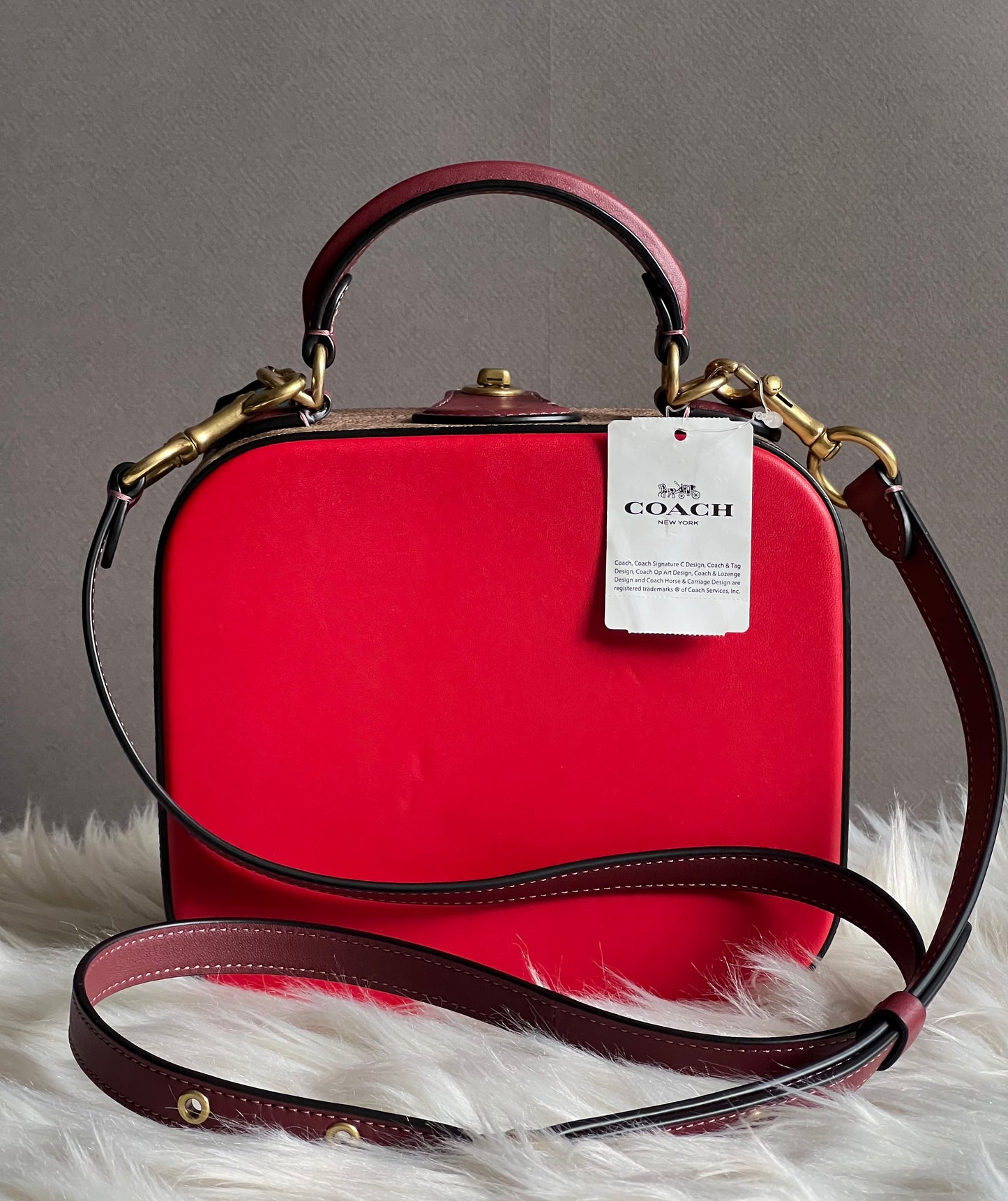 Coach Lunar New Year Square Bag in Signature Canvas