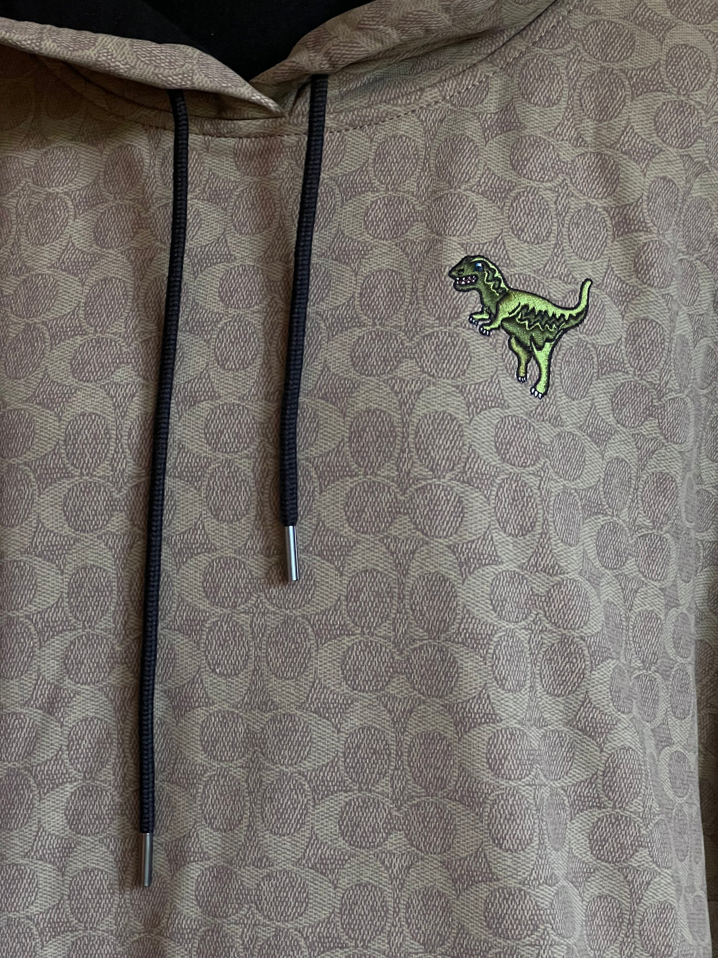 Coach Signature Rexy Hoodie