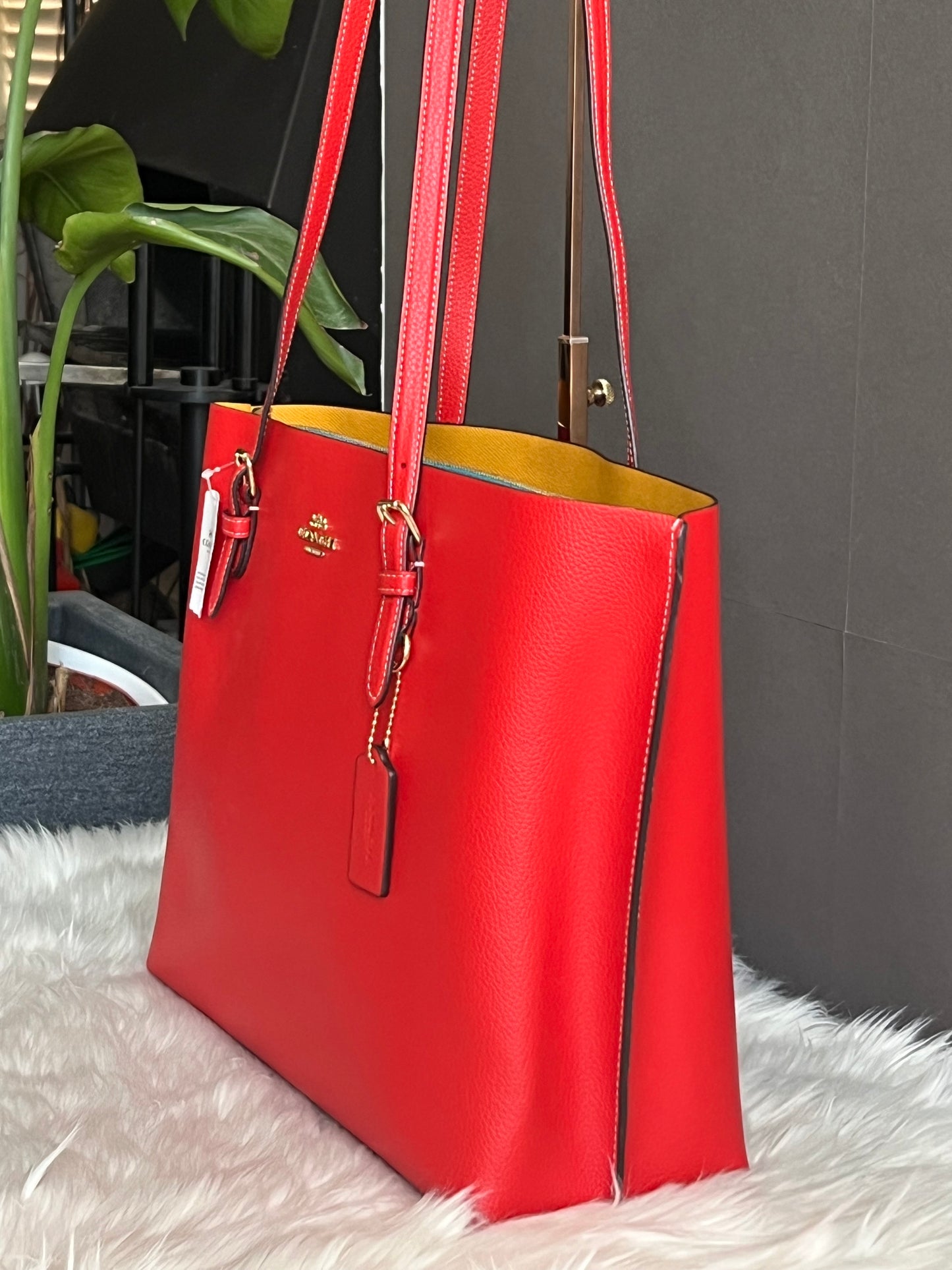 Coach Mollie Tote