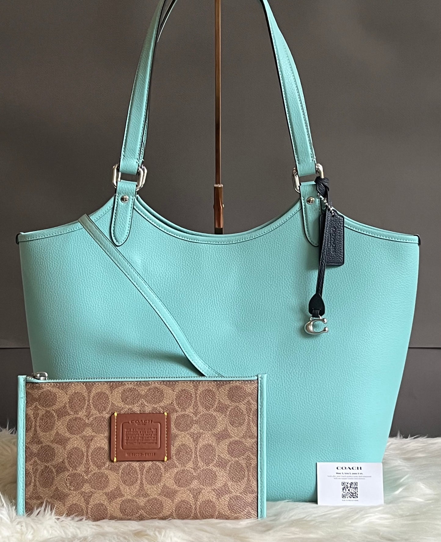 Coach Day Tote