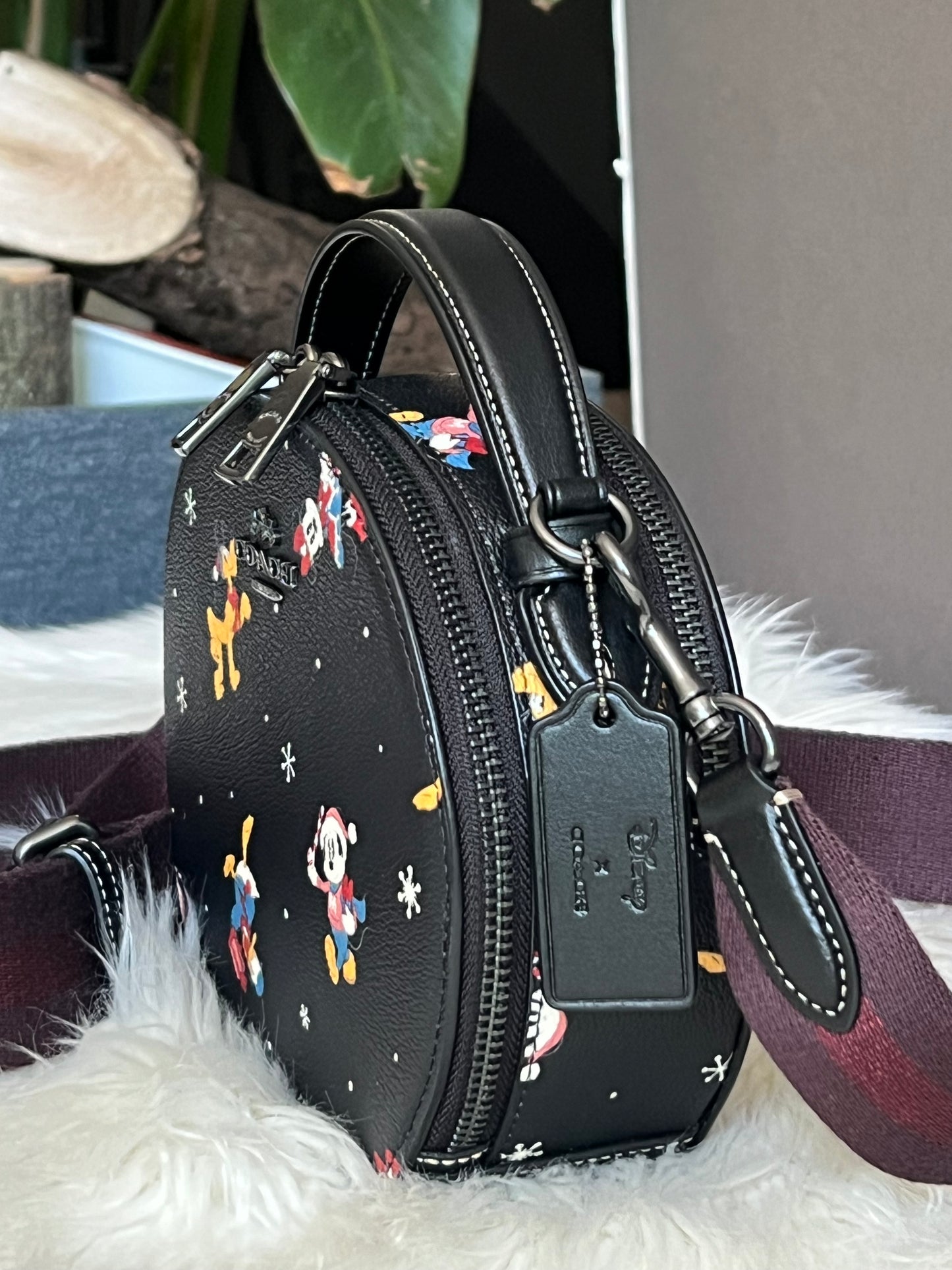 Disney X Coach Canteen Crossbody with Holiday Print