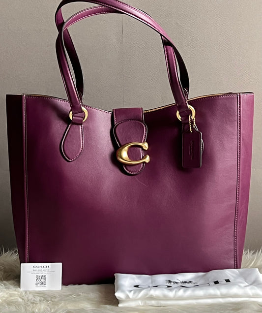 Coach Theo Tote