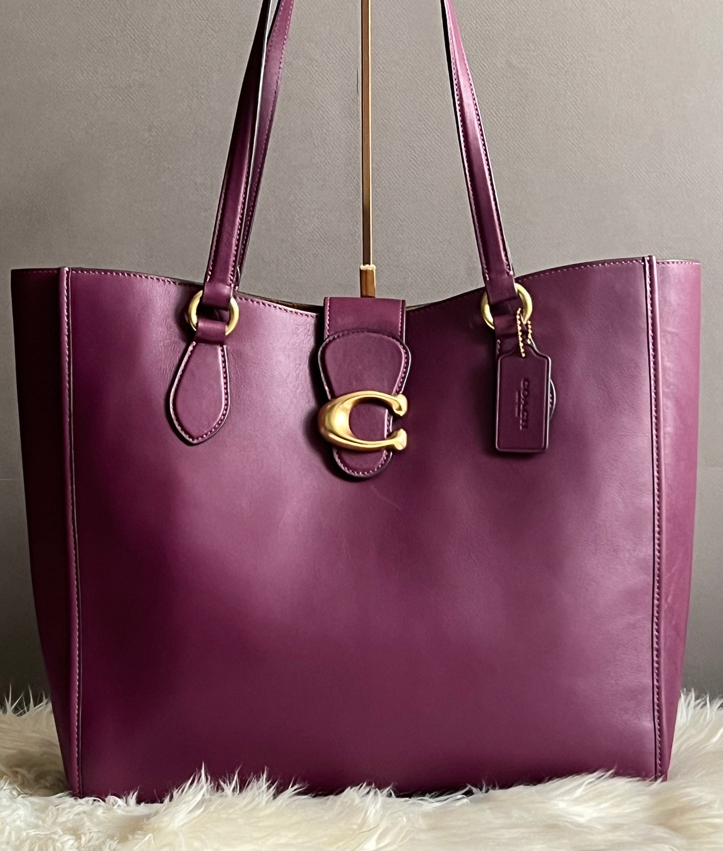 Coach Theo Tote