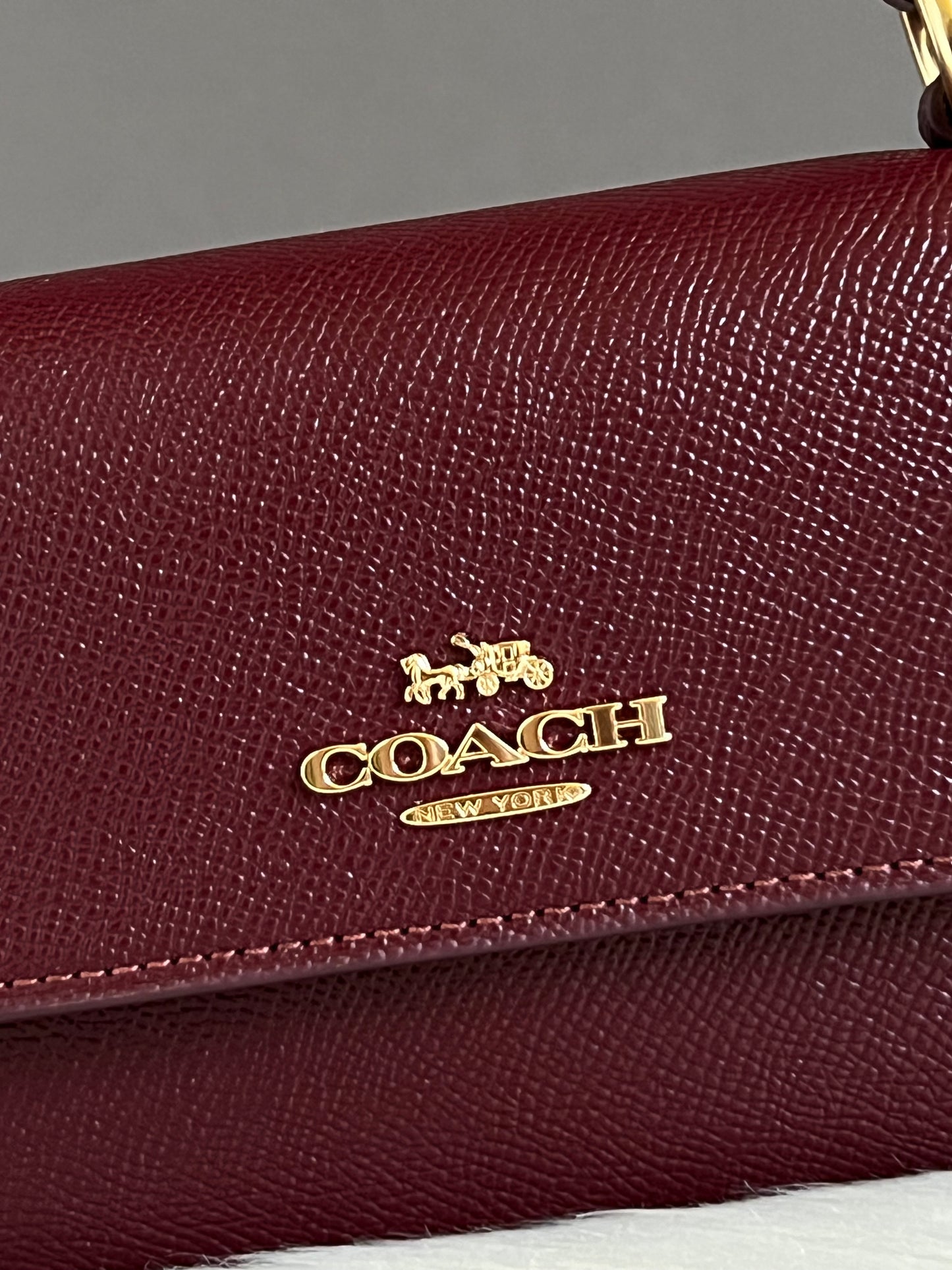 Coach Mini Josie Top Handle Bag