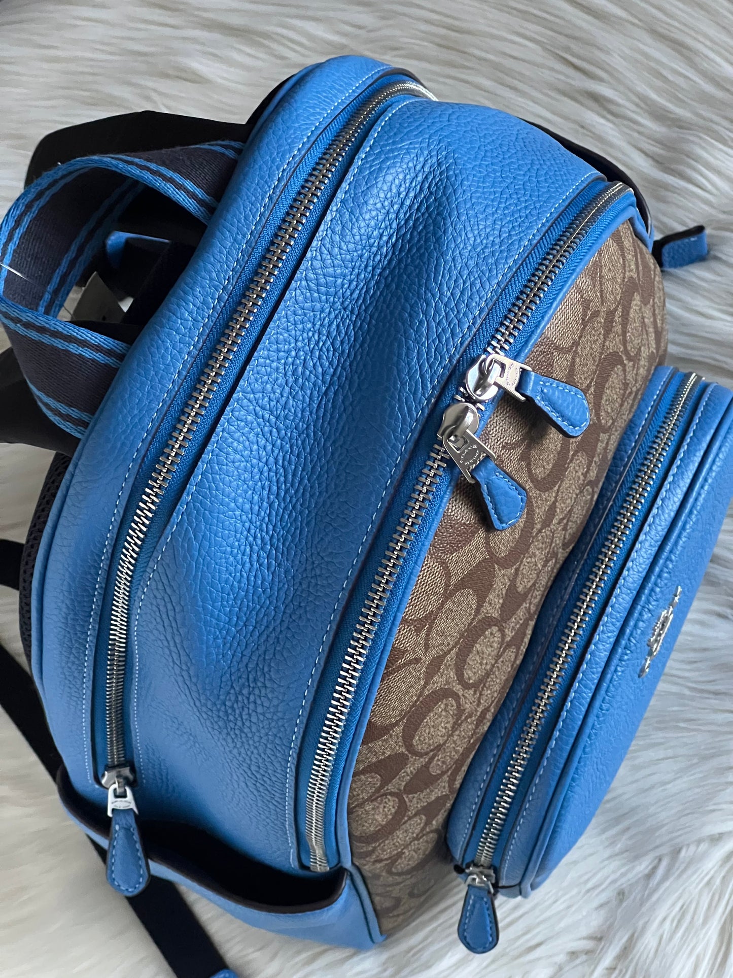 Coach Court Backpack In Signature Canvas