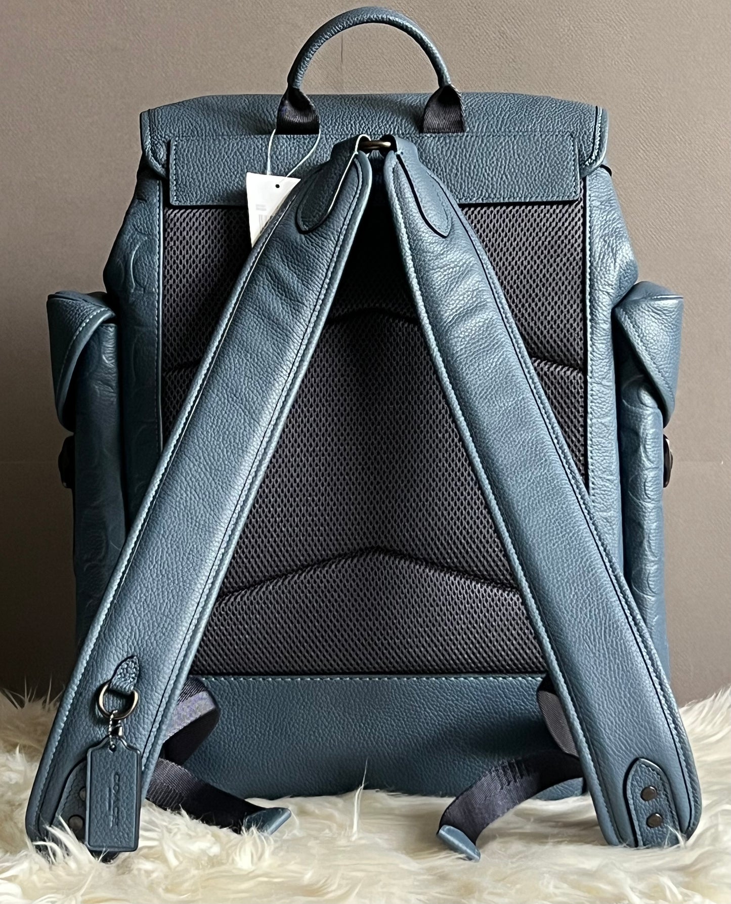 Coach Hitch Backpack in Signature Leather