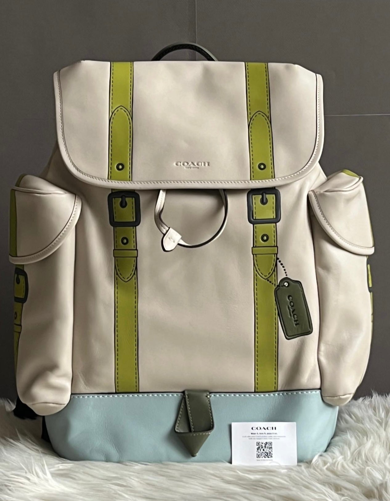 Coach Hitch Backpack with Trompe L’oeil