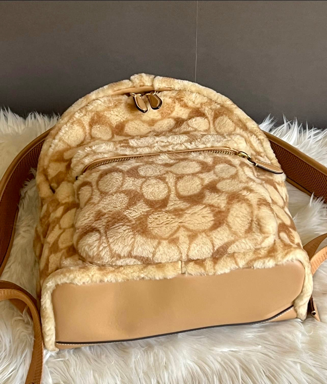 Coach Charter Backpack In Signature Shearling