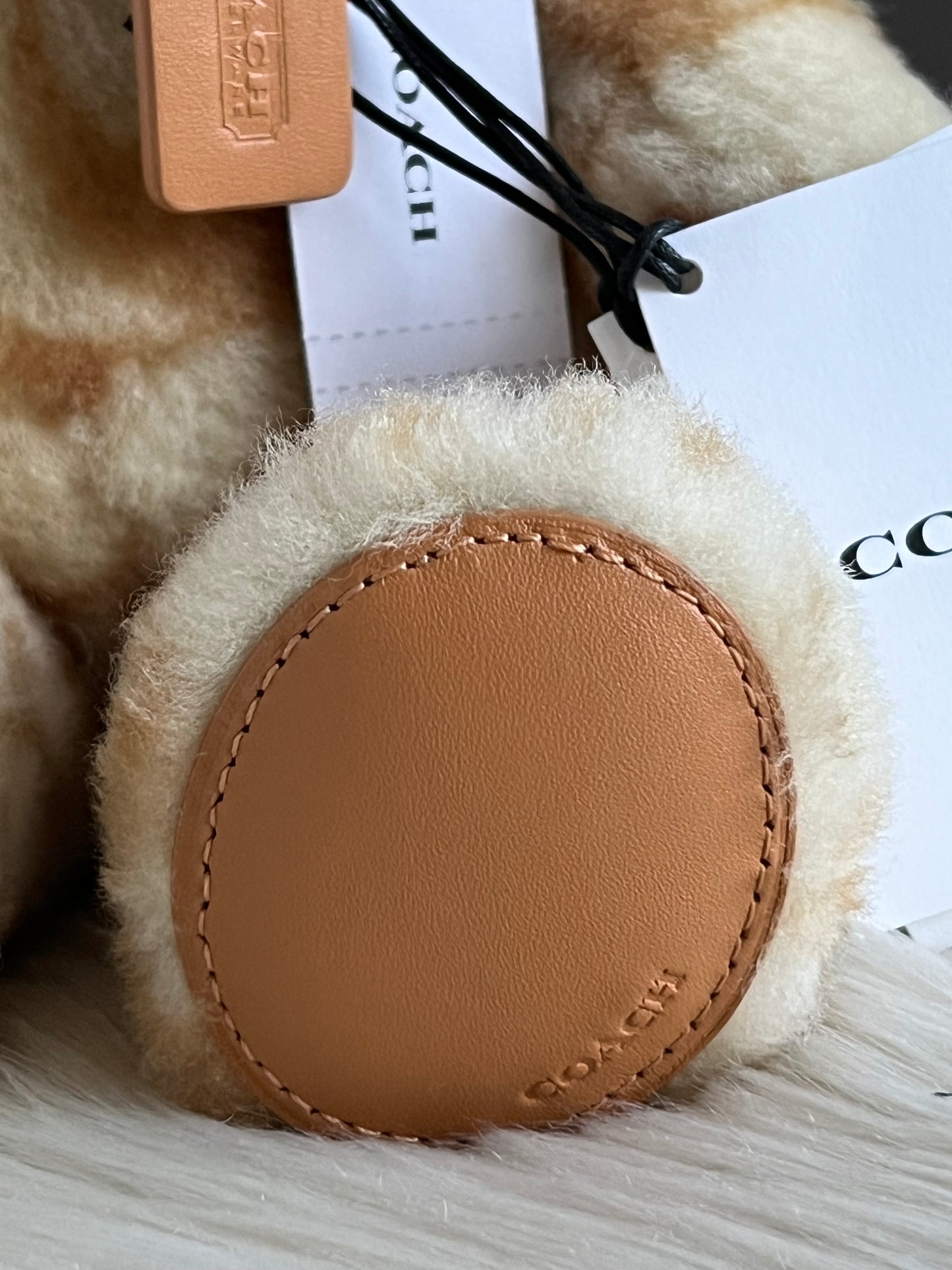 Coach Bear Collectible in Signature Shearling