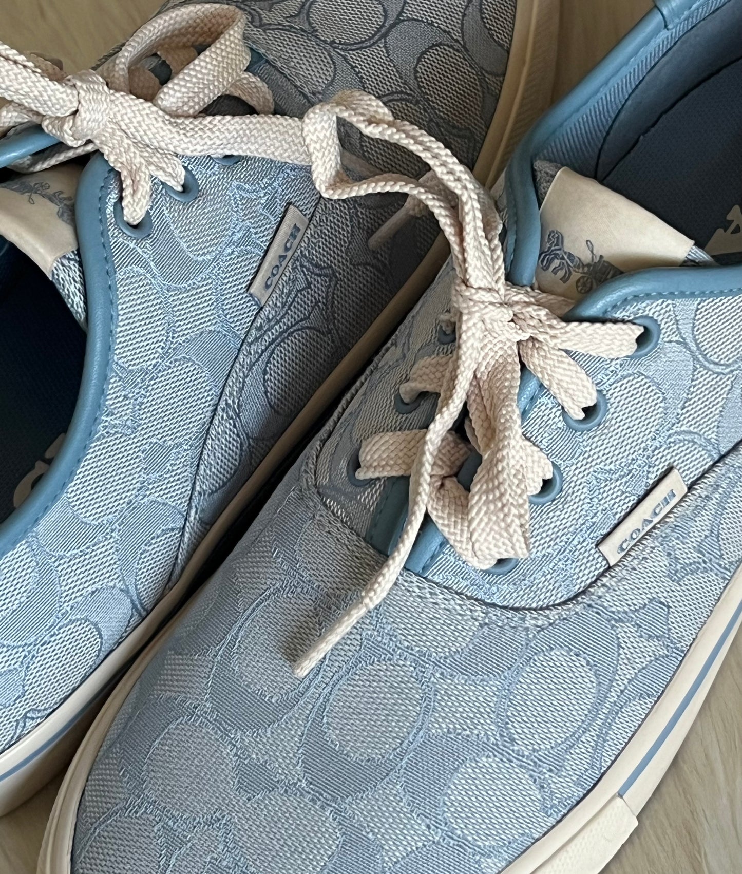 Coach Citysole Skate