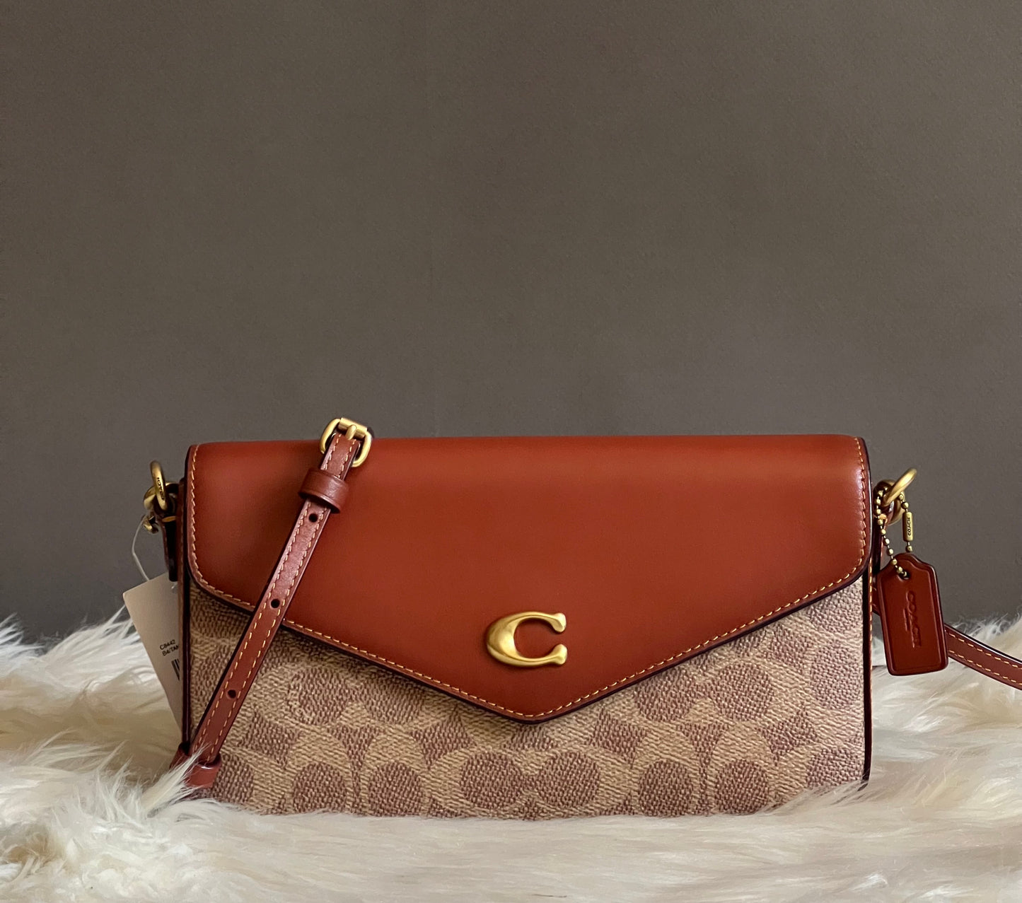 Coach Wyn Crossbody Bag in Signature Canvas