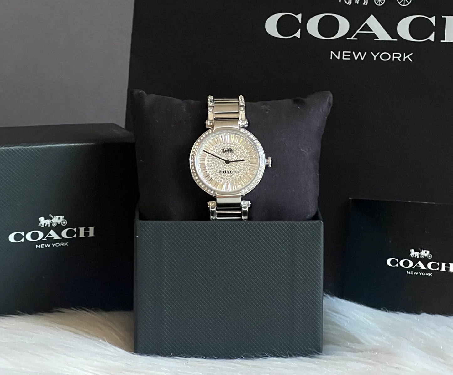 Coach Cary Watch