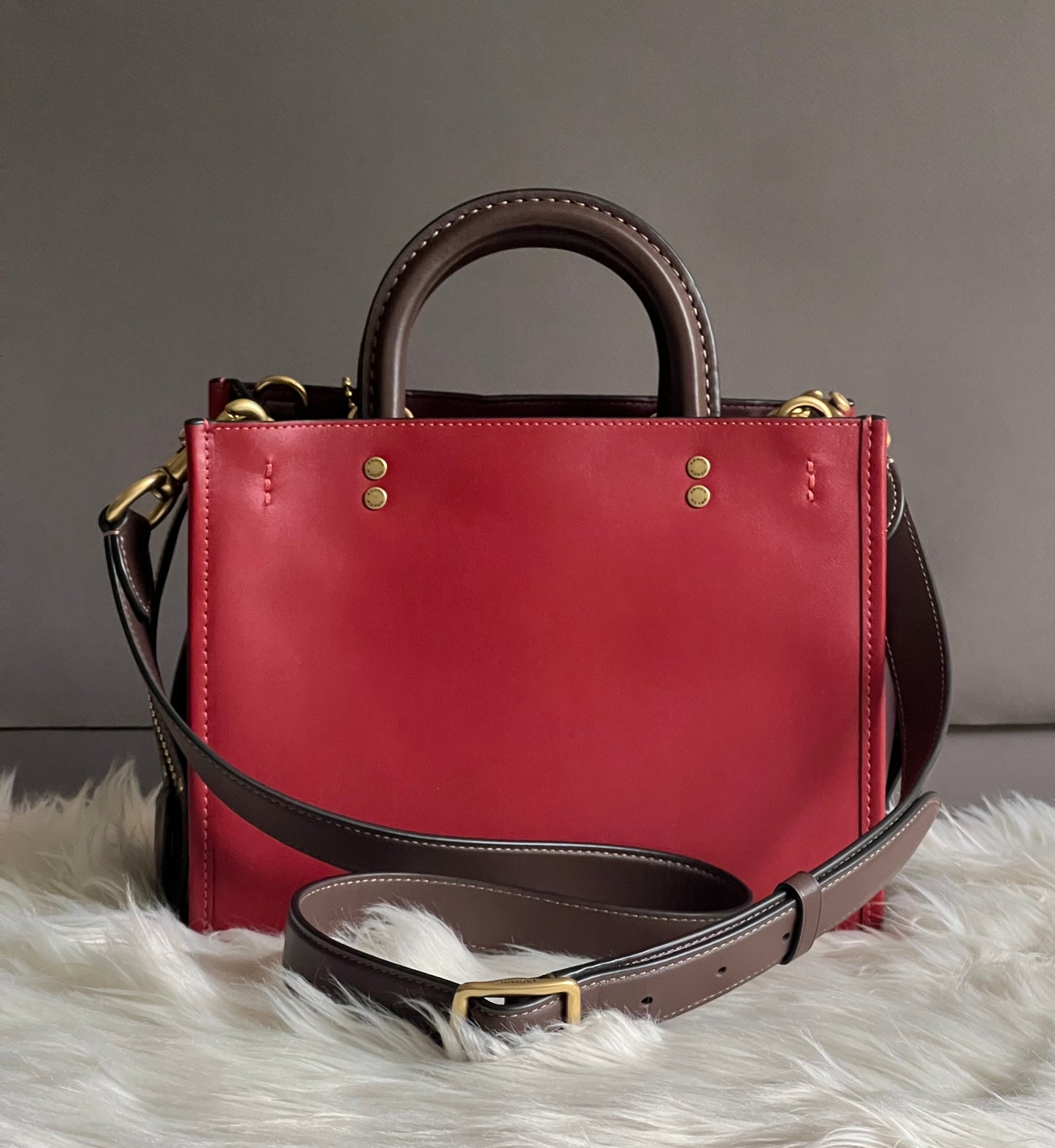 Coach Rogue 25 in Colorblock