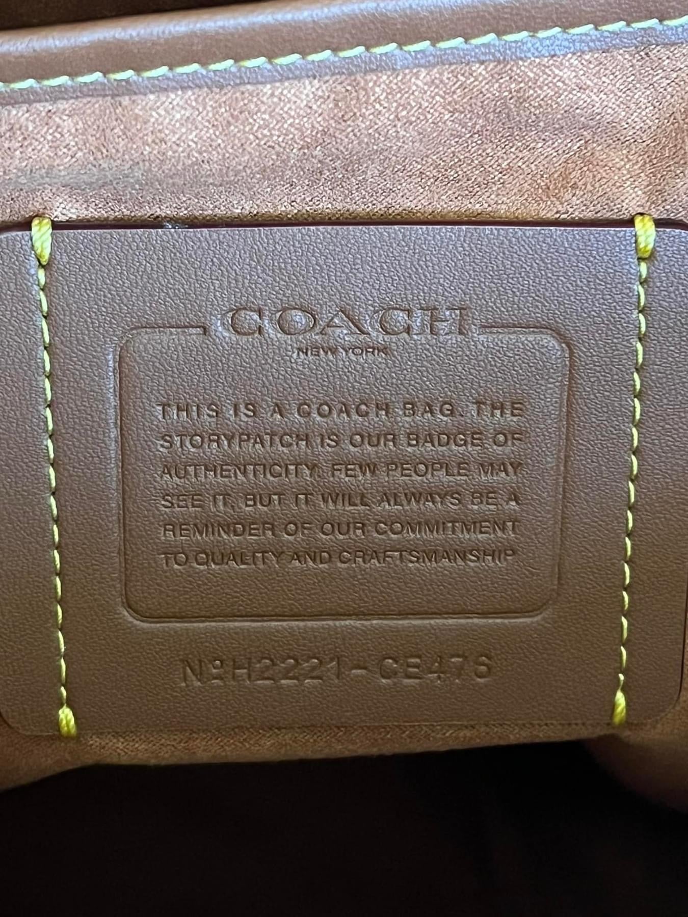 Coach Frankie Backpack in Signature Textile