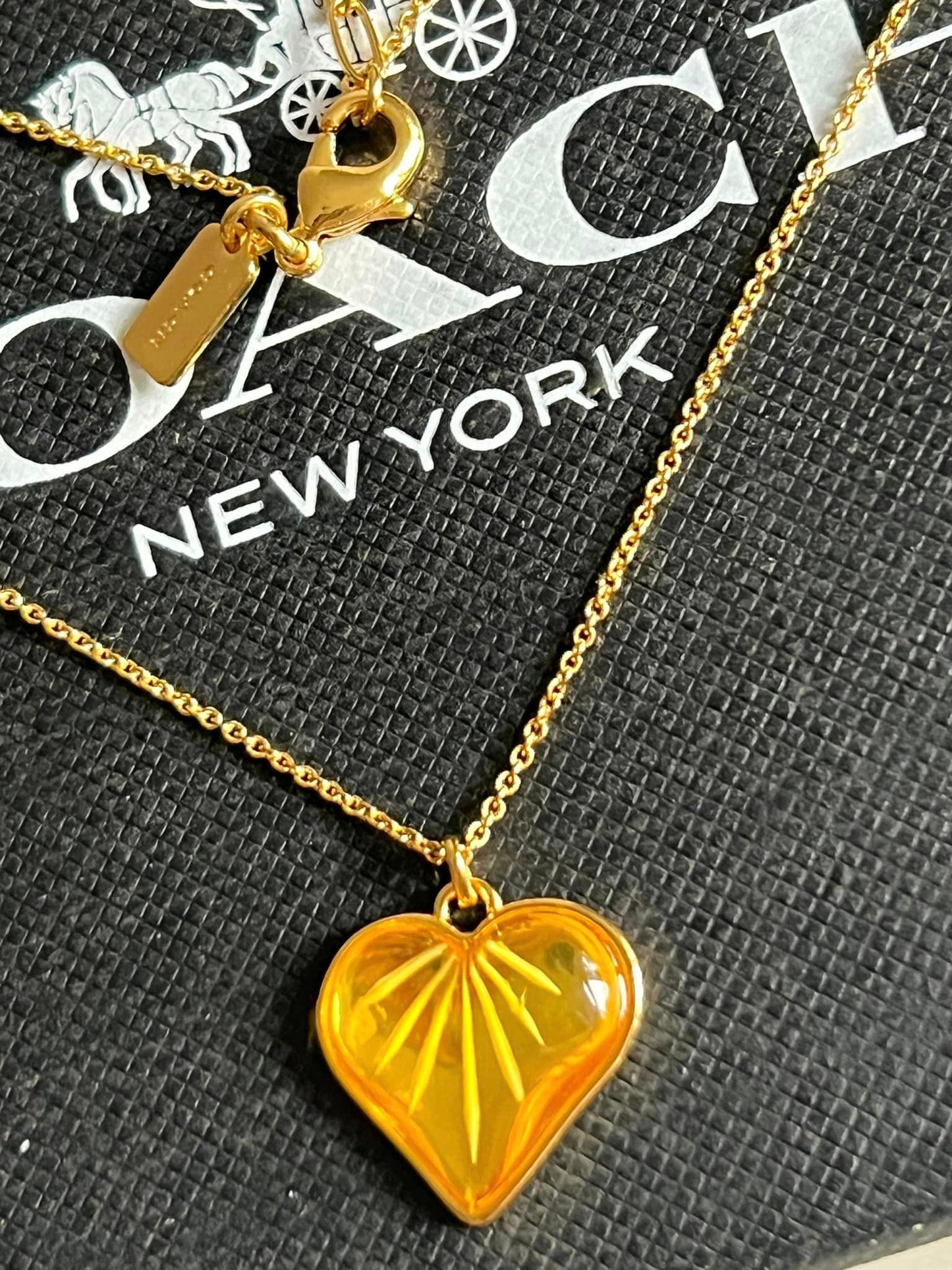 Coach Heart Chain Necklace