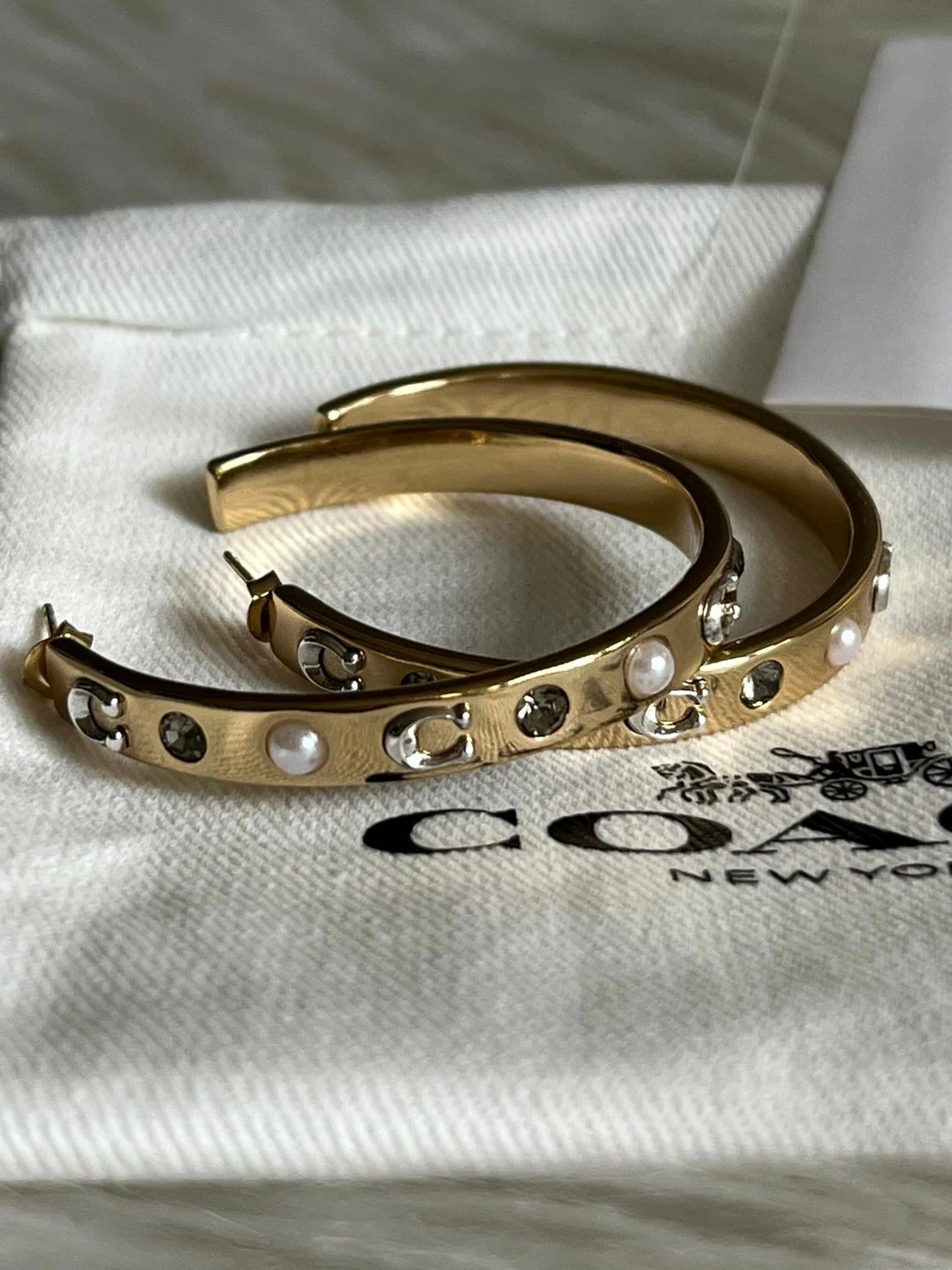 Coach Pegged Signature and Stone Large Hoop Earrings