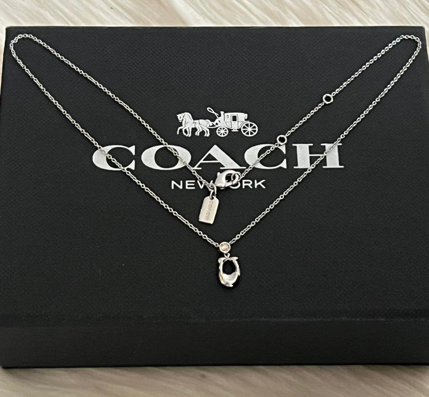 Coach Signature Enamel Necklace