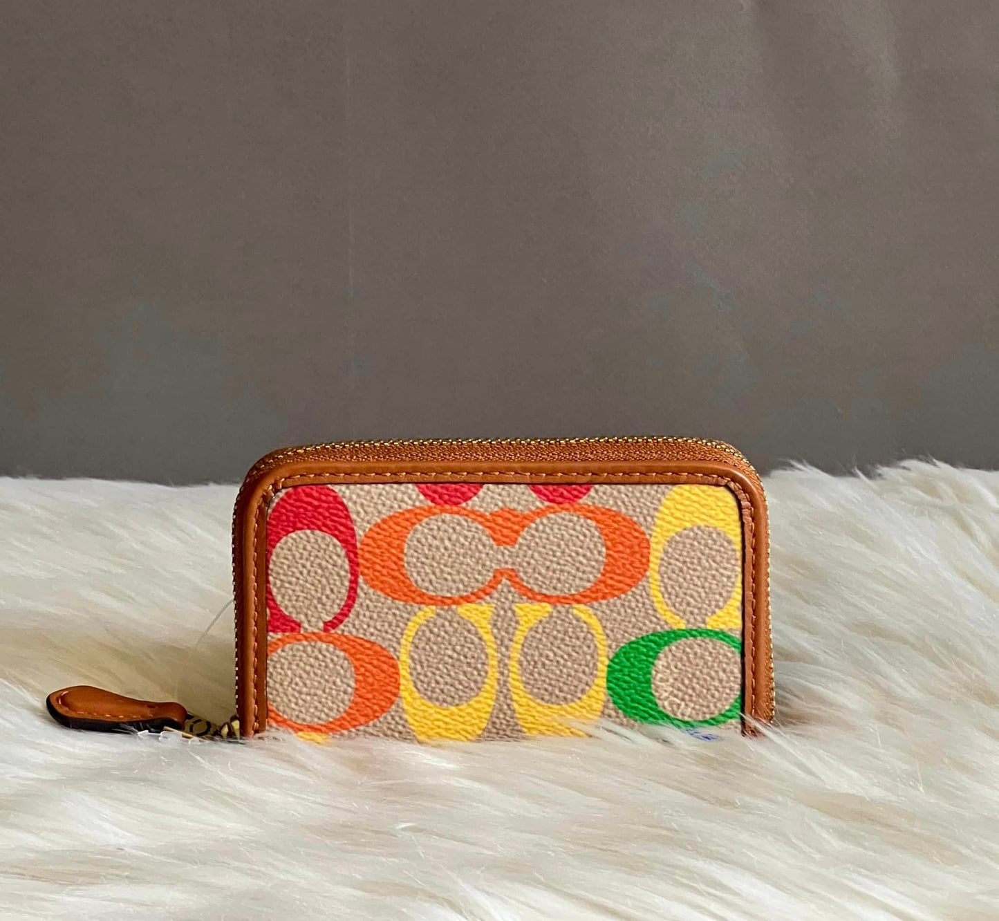 Coach Women’s Small Zip Around Card Case In Rainbow Signature Canvas