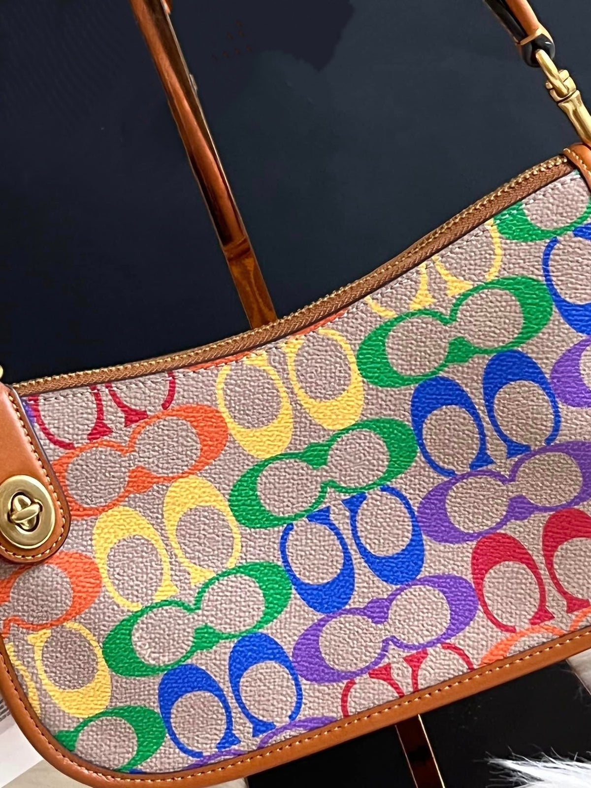 Coach Swinger in Rainbow Signature Canvas – Club de Mode