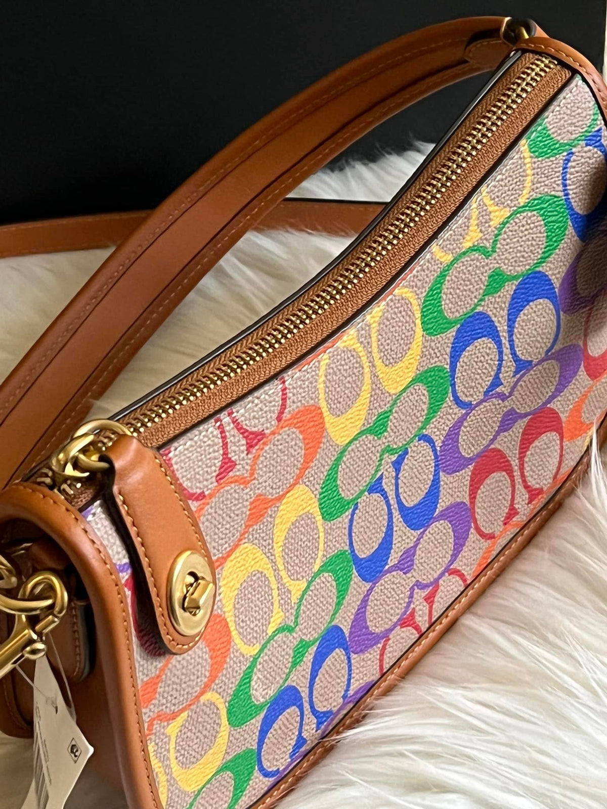 Coach Swinger in Rainbow Signature Canvas – Club de Mode