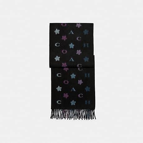 Coach Stars Striped Print Muffler