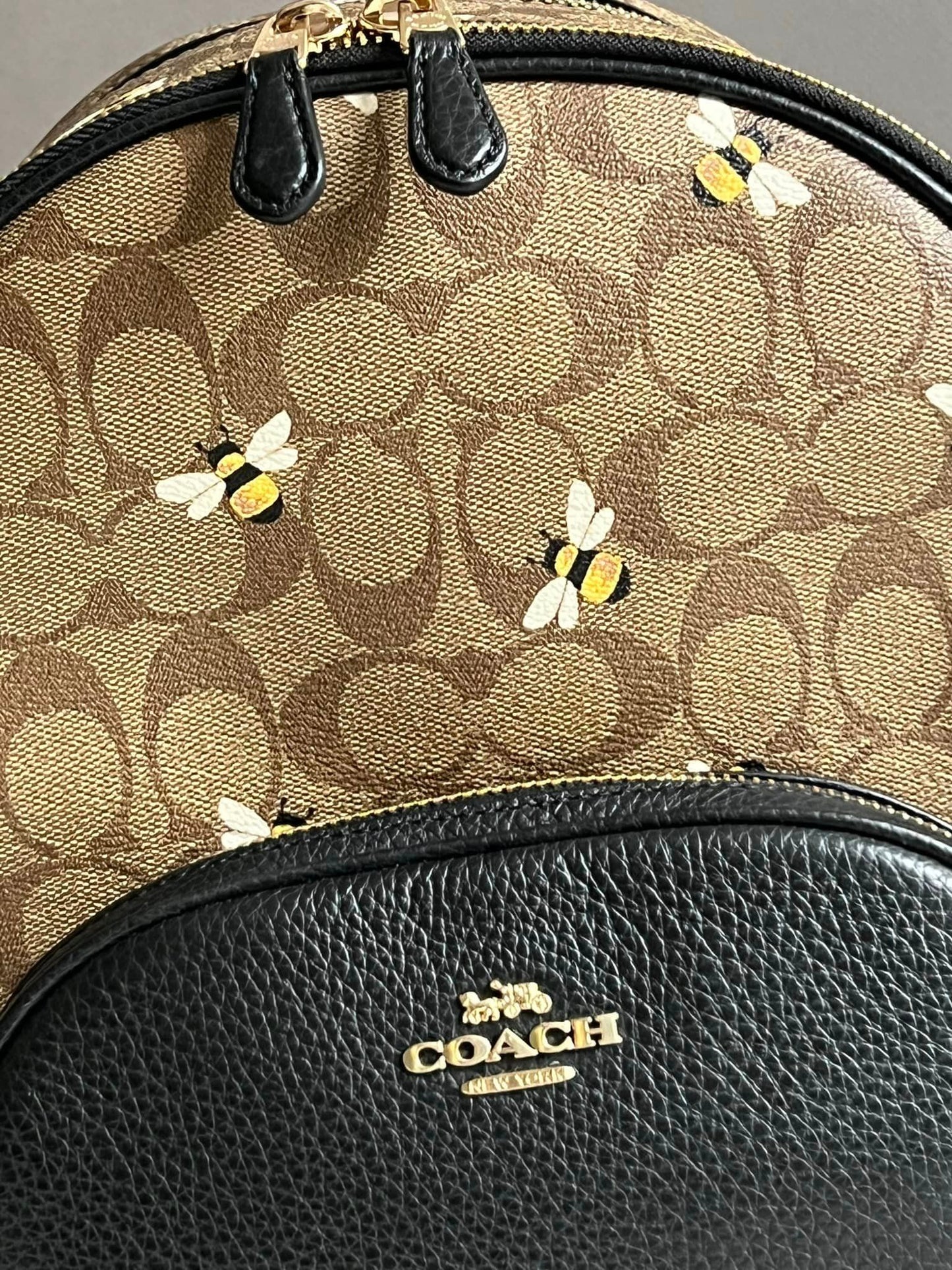 Coach Court Backpack In Signature Canvas With Bee Print