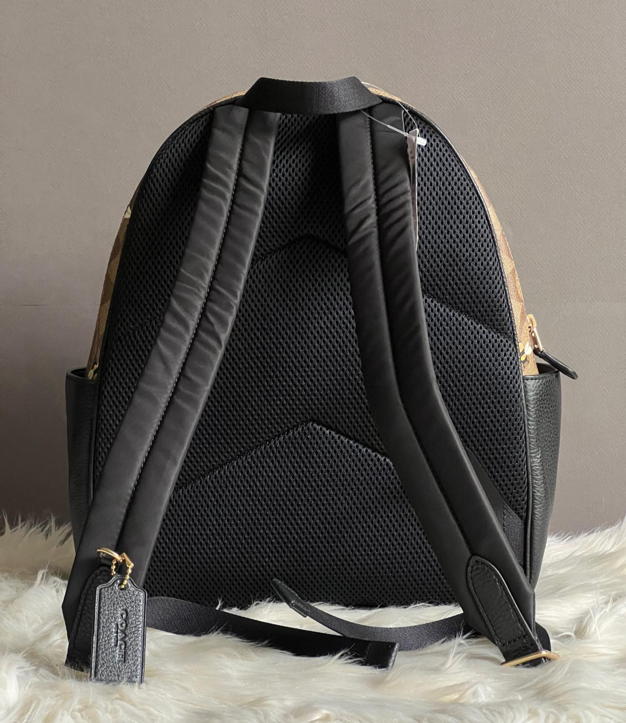 Coach Court Backpack In Signature Canvas With Bee Print