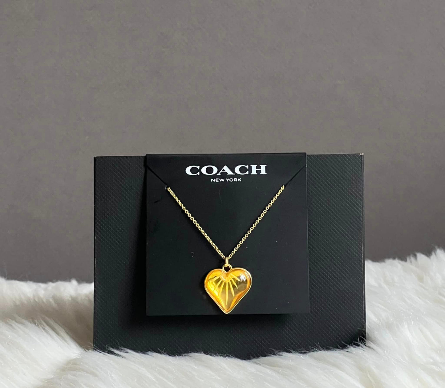 Coach Heart Chain Necklace