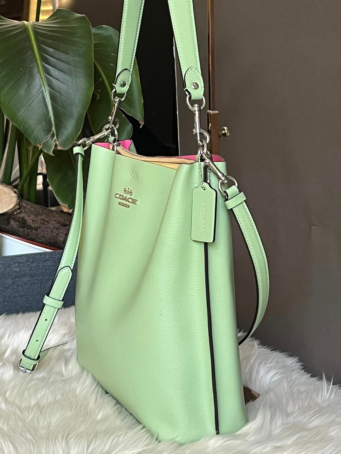 Coach Mollie Bucket Bag