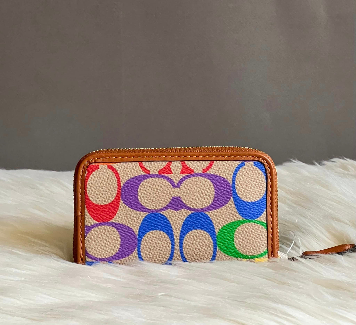 Coach Women’s Small Zip Around Card Case In Rainbow Signature Canvas