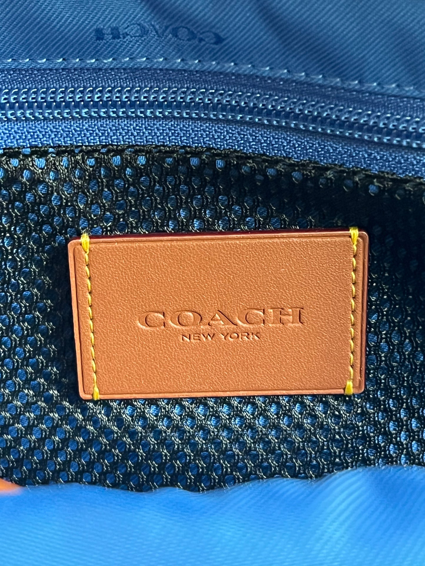 Disney X Coach Charter Leather Backpack with Walt Disney World Motif