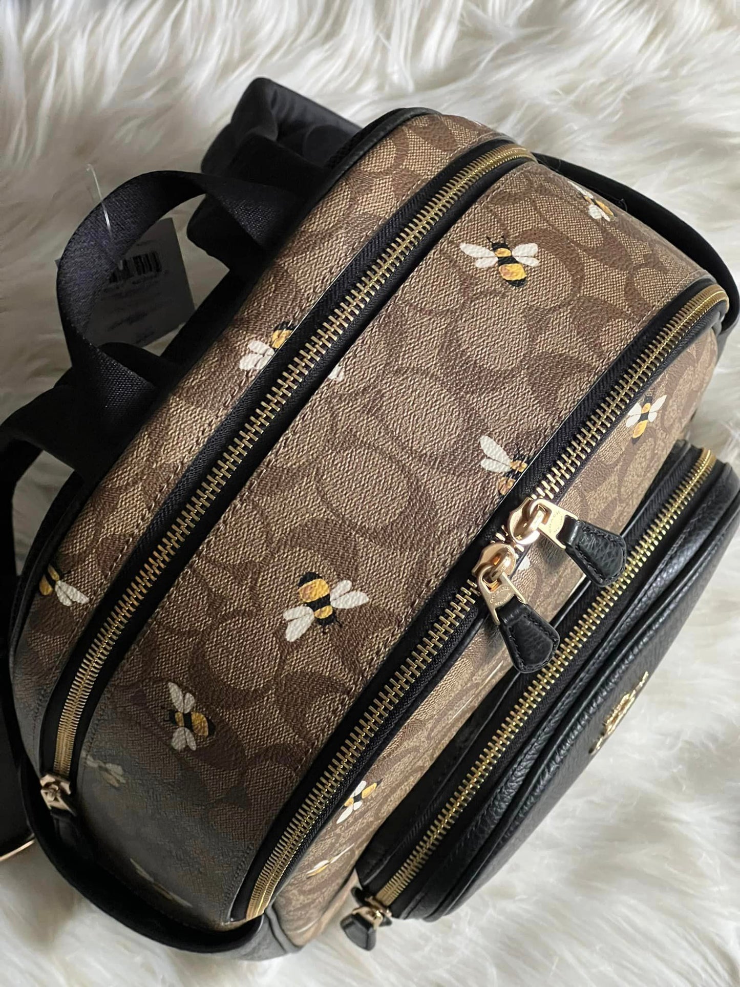 Coach Court Backpack In Signature Canvas With Bee Print