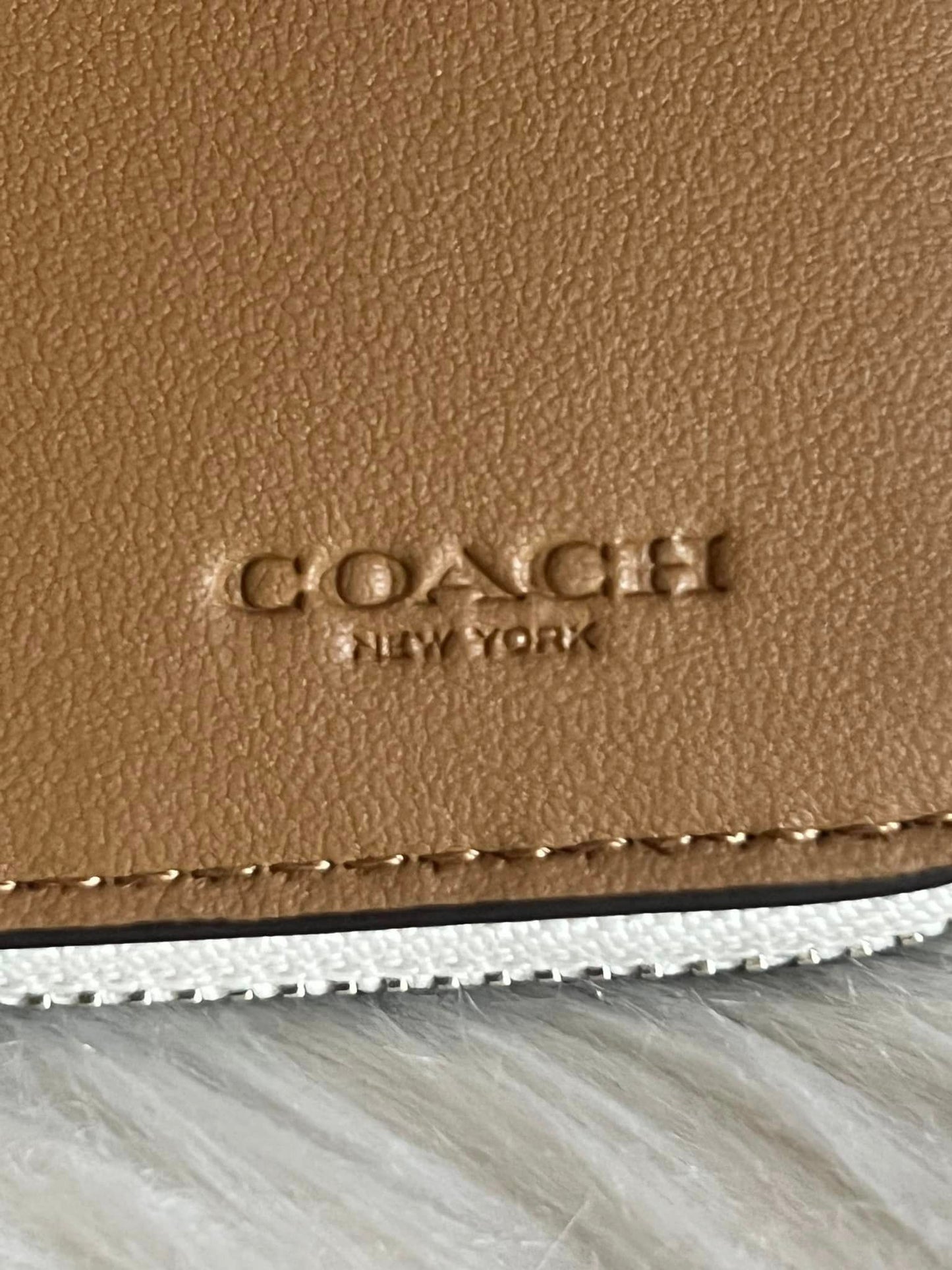 Coach Cosmic Billfold Wallet With Rexy