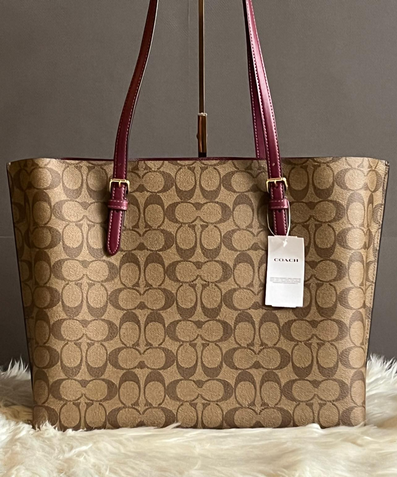 Coach Mollie Tote in Signature Canvas with Jumbo Floral Print