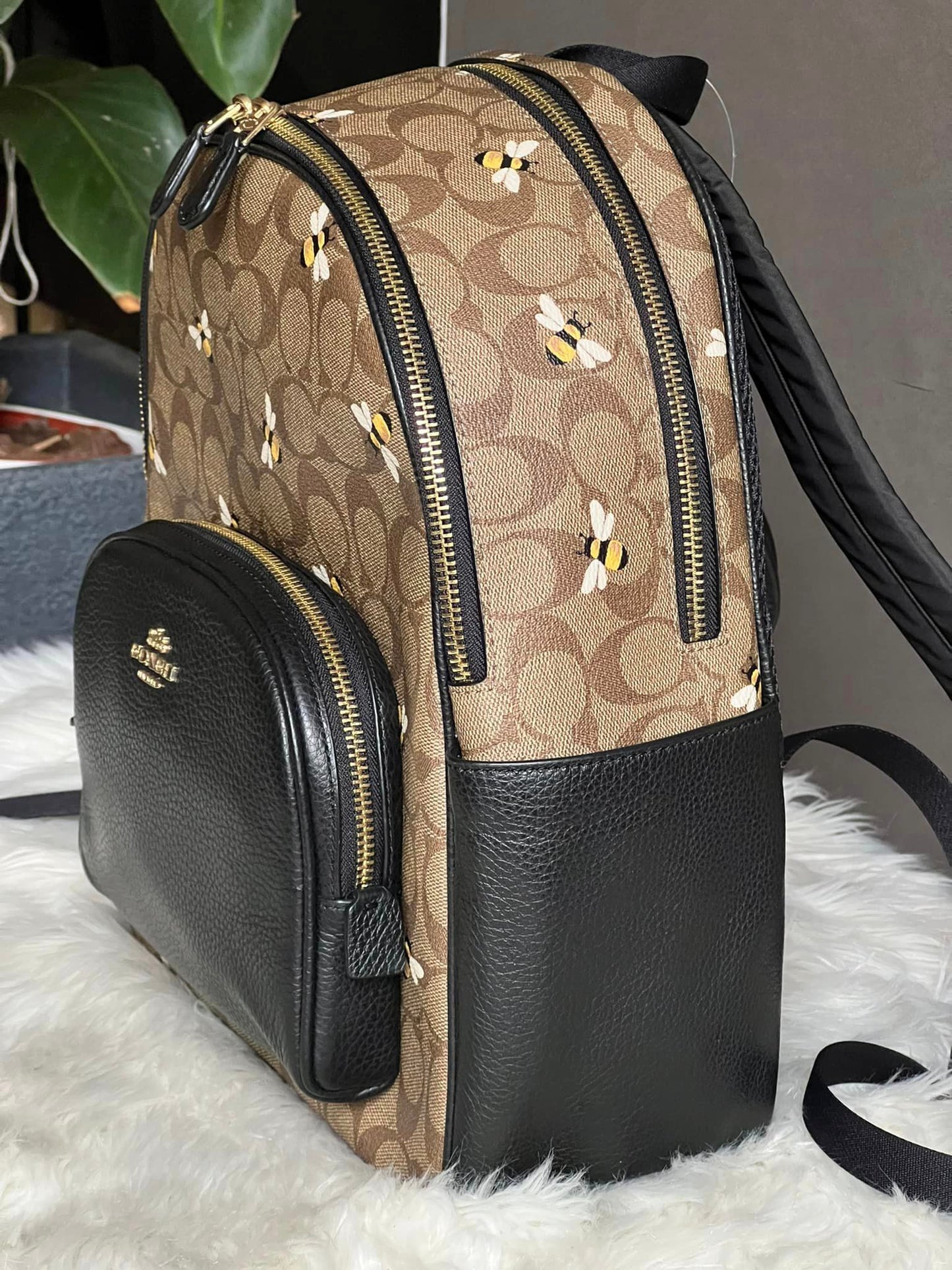 Coach Court Backpack In Signature Canvas With Bee Print