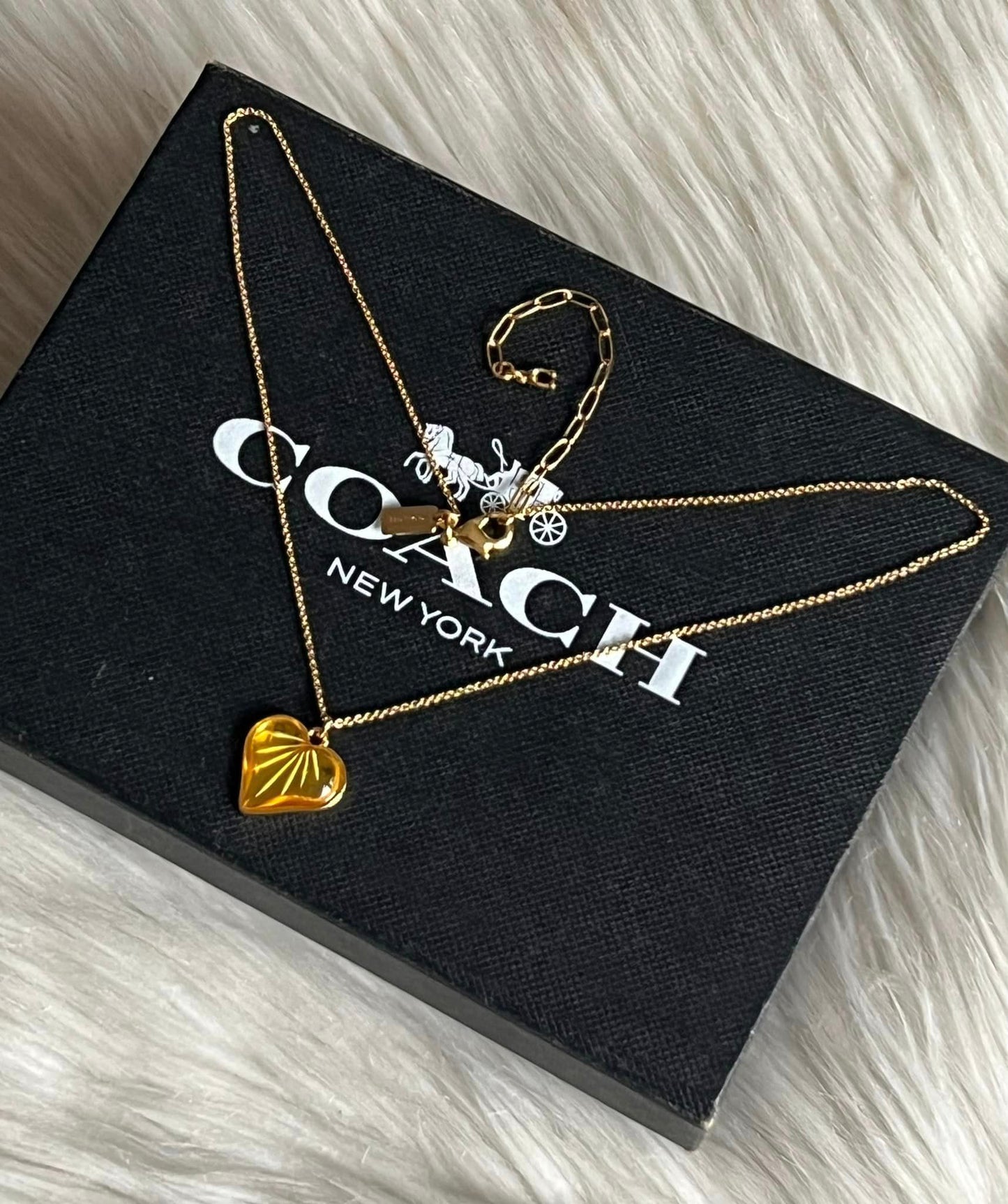 Coach Heart Chain Necklace