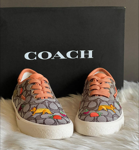 Coach X Observed By Us Skate Lace Up Sneaker In Signature Jacquard
