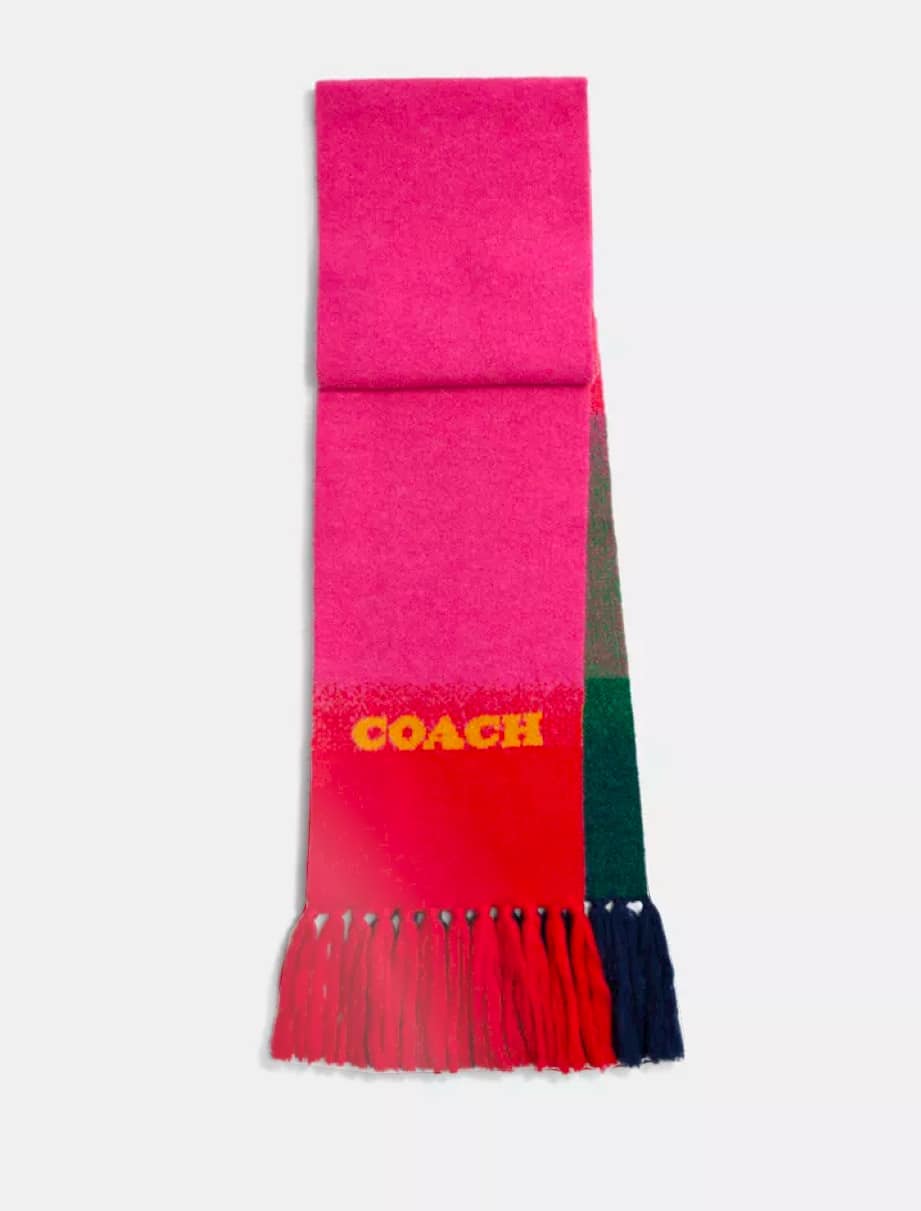 Coach Ombre Print Muffler