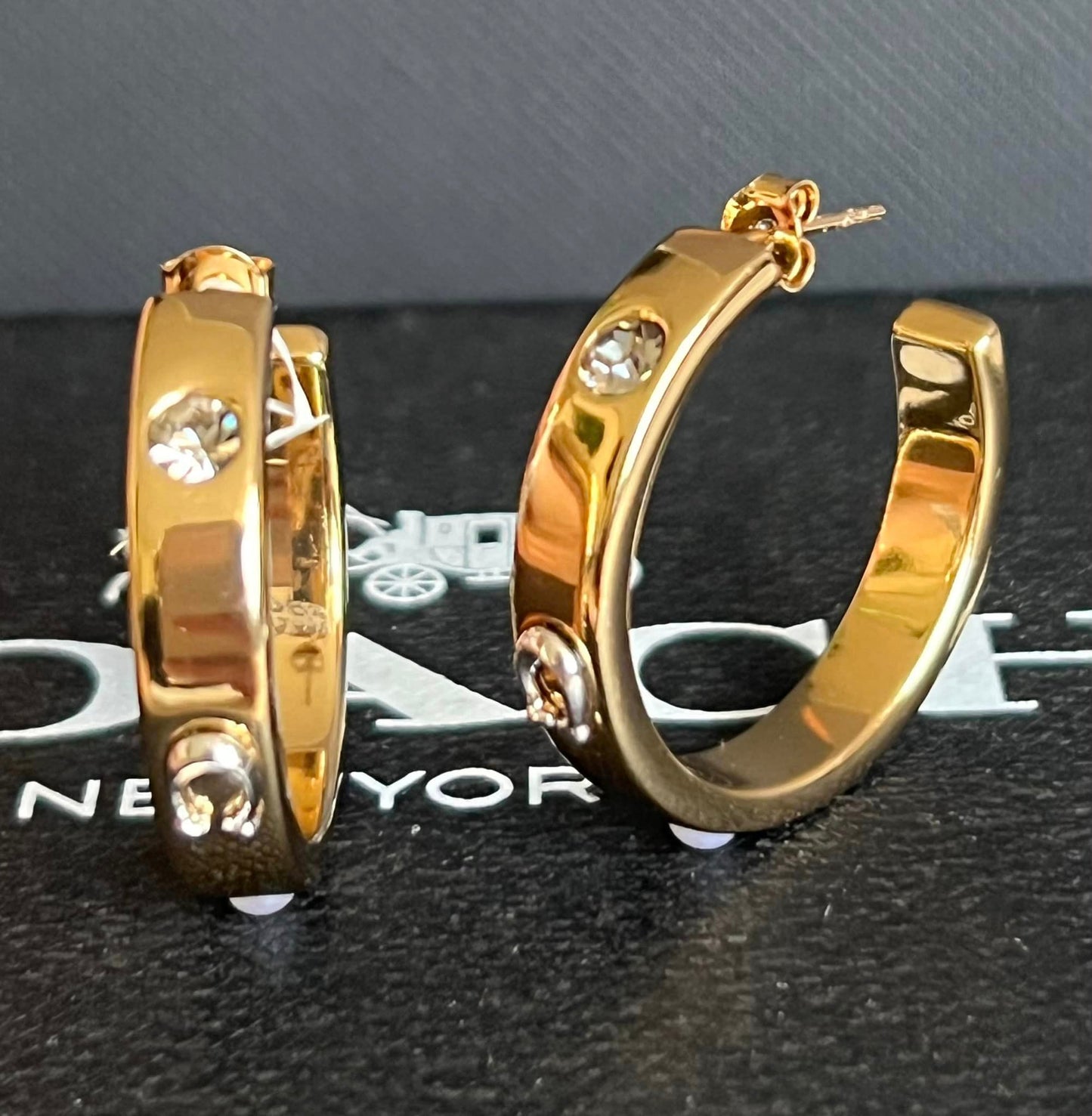 Coach Pegged Signature And Stone Small Hoop Earrings